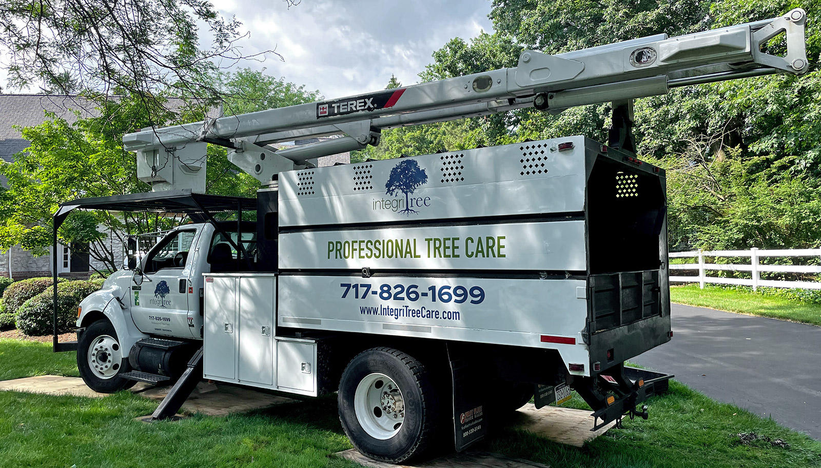 Integritree: Tree services offered